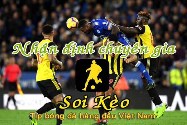 Nhận định Soi Kèo Watford vs Leicester: Lời xin lỗi muộn màng